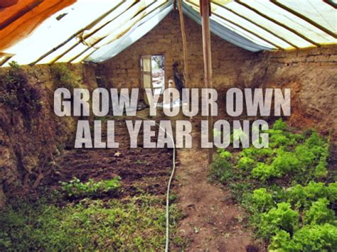 We write about growing, raising, preserving, and preparing our own. DIY Greenhouse Plan: the Walipini