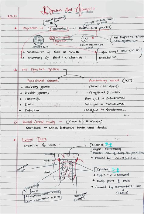 SOLUTION Digestion Absorption Handwritten Notes For Neet 1 Studypool