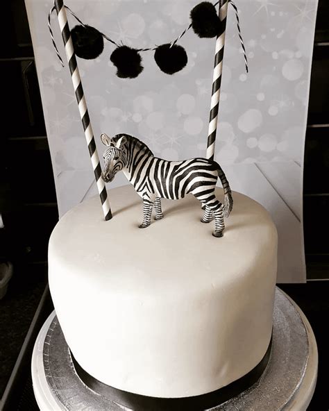 Zebra Birthday Cake Ideas Images Pictures