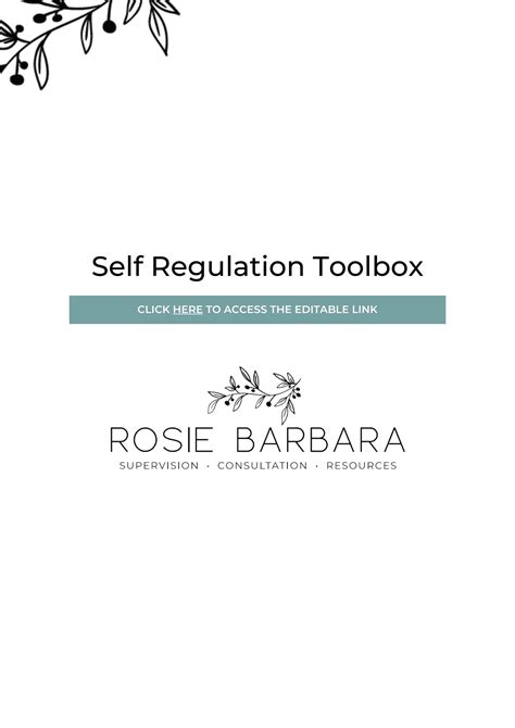 Self Regulation Toolbox Rosie Barbara