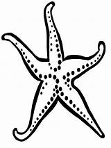 Starfish Coloring Printable sketch template