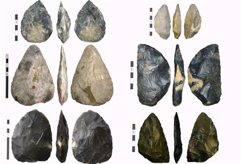 Neanderthal Tools Left Mousterian Of Acheulean Tradition Hand Axes