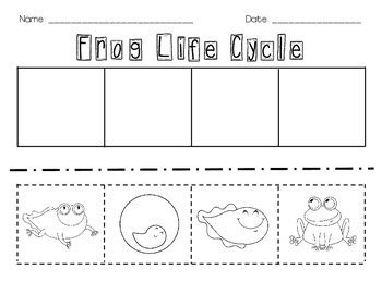 This frog is a simple cut and paste paper craft that is fun for young children to make. Frog Life Cycle {cut and paste} by Erin Ward | Teachers ...
