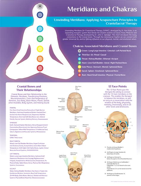 Meridians And Chakras Wall Chart Products Directory Massage Magazine
