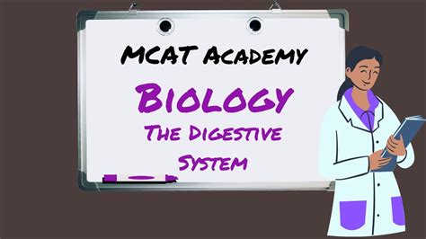 Mcat Academy Biology The Digestive System Youtube