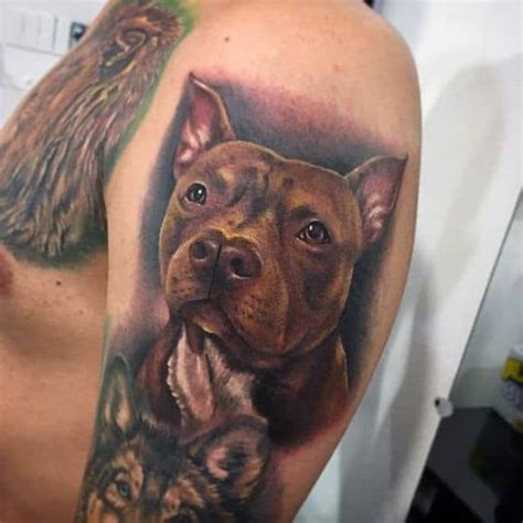 Aggregate Traditional Pitbull Tattoo In Coedo Vn