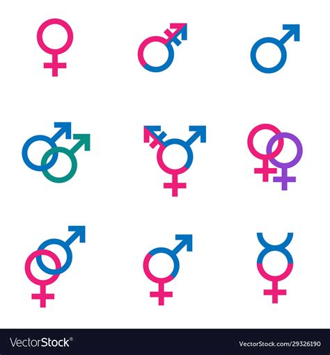 Gender Symbol Set Sexual Orientation Icons Male Vector Image