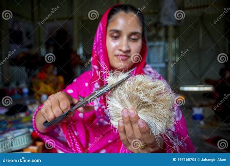 Mulher Fazendo Artesanato Suaviza As Fibras De Uma Bananeira Com Tesoura Em Madhupur Tangail