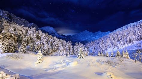 Wallpaper Winter Night Mountains Stars Snow Forest
