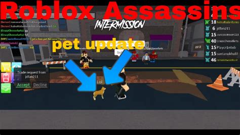 Roblox Assassin Update Pets And New Map Youtube My XXX Hot Girl