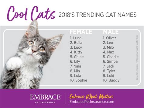 The names have slipped in popularity since then. What Are Some Cool Female Cat Names
