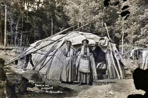 Ojibwa Indians Wigwam In Northern Wisconsin 1908 Native American