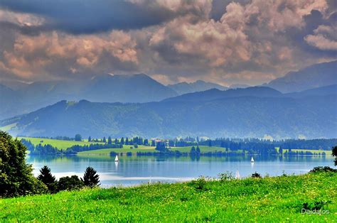 Lake Forggensee Bavaria Germany By Daidalos Redbubble