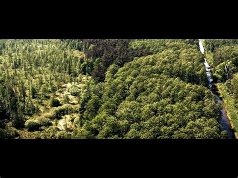 Przeżyj to Polskie parki narodowe Kampinoski Park Narodowy YouTube