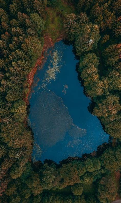 Aerial View Of Lake Surrounded By Trees Wallpaper 720x1280