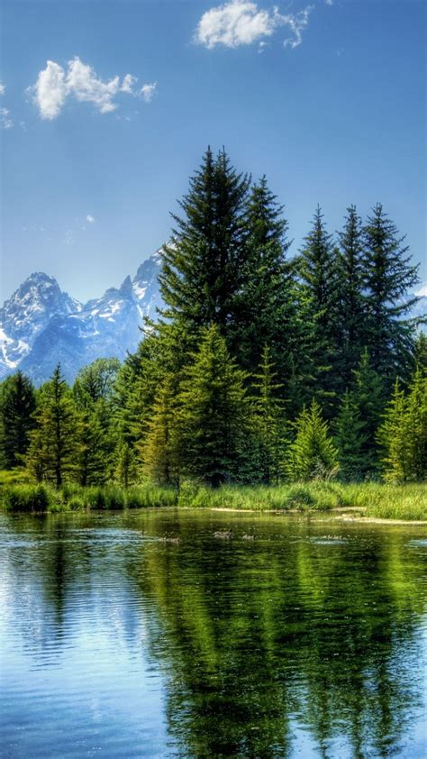 Find the best peaceful wallpaper on wallpapertag. 20 Peaceful Nature iPhone Wallpapers - WallpaperBoat
