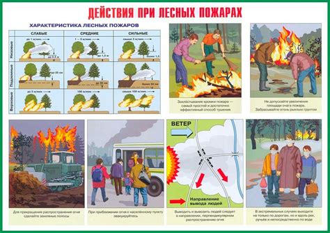 Меры безопасности в зоне лесных и торфяных пожаров кратко