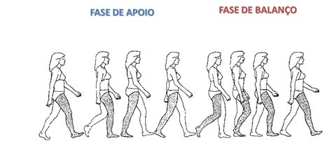 Fase De Apoio Da Marcha