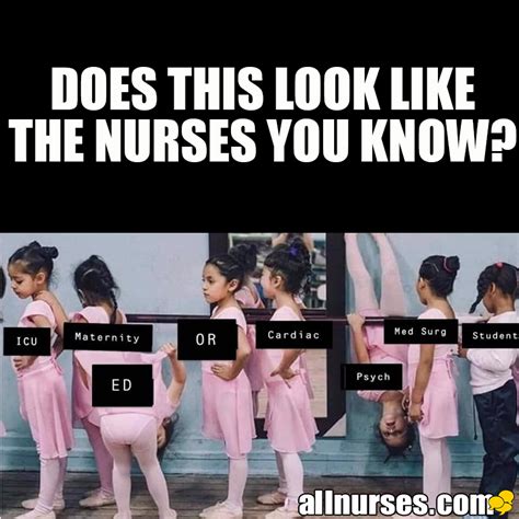 This Seem Accurate To You Er Nurse Humor Rn Humor Nurse Jokes Psych