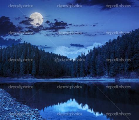 Cristalino Lago Cerca Del Bosque De Pinos En Las Montañas En La Noche