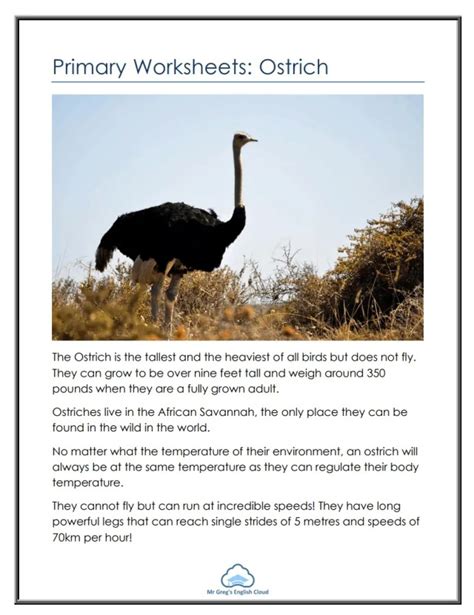 Primary Worksheets Ostrich Mr Gregs English Cloud