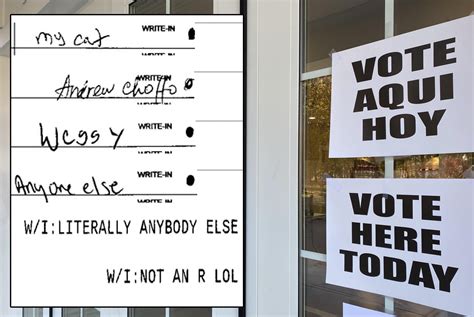 Gritty, Elmo and Mayor McCheese for Congress — why do people throw