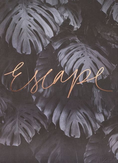 Download wallpaper lock screen rose gold wallpaper iphone. Escape rose gold print by Blacklist studio. blackliststore ...