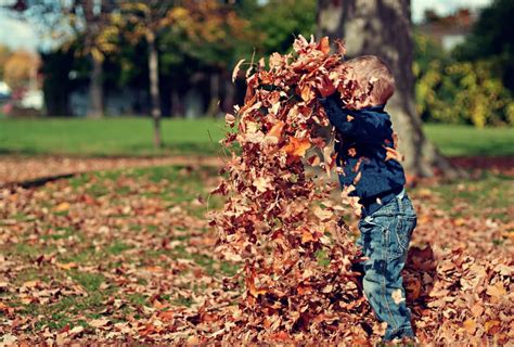 Heres Why You Should Let Your Kids Jump In Leaf Piles Her View From Home