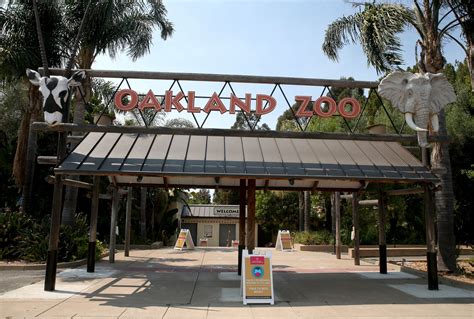 Oakland Zoo Temporarily Closes Due To Flooding And ‘major Sinkhole
