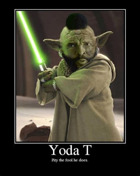 Collect The Inspirational Funny Animal Pictures Yoda Hilarious Pets