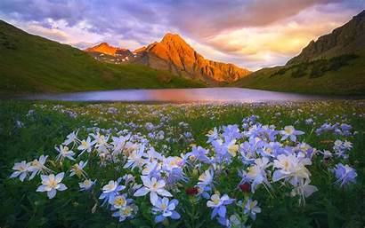 Flowers Sunset Mountains Colorado Lake Meadow Landscape