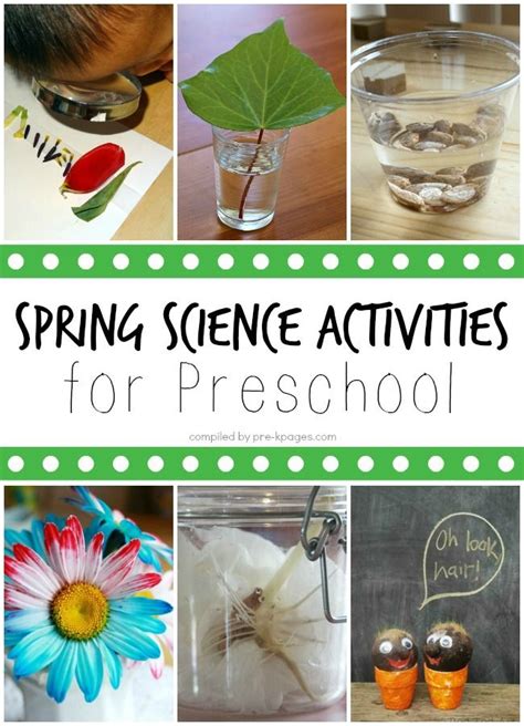 Choose your idea and start to make it in your classroom. Spring Science Activities for Preschoolers | Cool Science ...