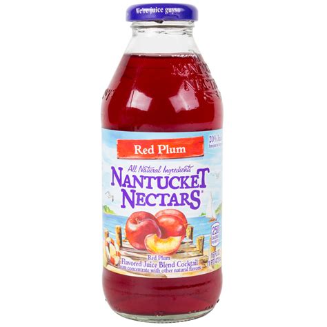 Nantucket Nectars 16 oz. Red Plum Juice - 12/Case