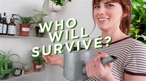 Testing Plants That Survive In Zero Light Youtube