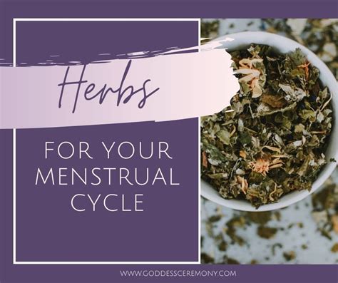 Healing Herbs For Your Menstrual Cycle Must Have Herbs Healing Herbs Herbs Menstrual Cycle