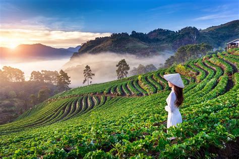 Việt nam) is a country in southeast asia. Vietnam - Reistips, Hotspots, Routes, Hoteltips, Hostels ...