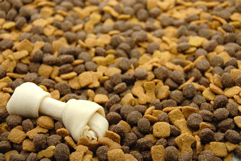 Is Your Dog Food Truly Healthy For Your Dog At Home Veterinary Care