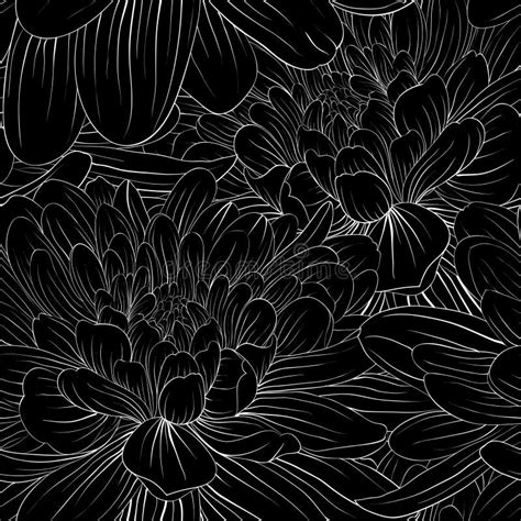 Dahlia Flower Vector Black White Stock Illustrations 1032 Dahlia
