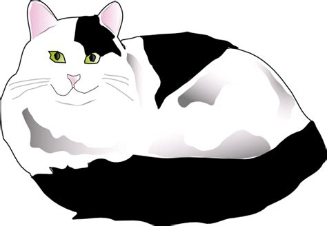 Black And White Cat Png Clip Art Library