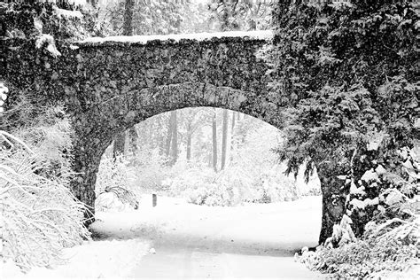 Bridge In A Snowy Park Black And White Laurie Hunsaker