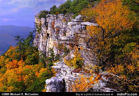 Falcon Cliff On North Fork Mountain With Fall Color Picture