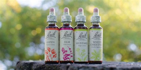 The bach flower remedies are able to help our animals when they have negative emotions just as they help us when we are emotionally out of balance. Bach original flower remedies - a modern new look for the ...