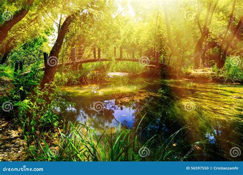 Idyllic Scenario With A Mountain River Stock Photo Image Of Ecology