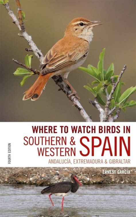 Where To Watch Birds In Southern And Western Spain 2a Naturbutiken