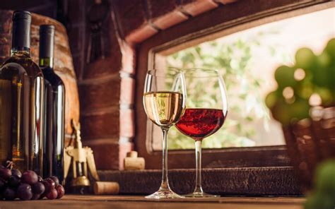 Ubytování březí na jižní moravě. Jižní Morava s neomezenou konzumací vína | TRAVELKING
