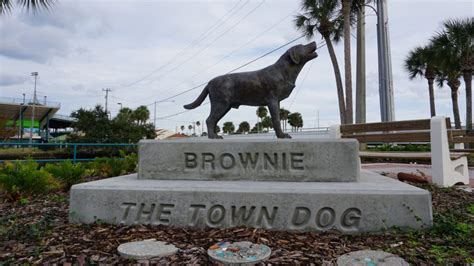 Flagler dog track florida , usa. The Legend of Daytona Beach's Brownie the Town Dog - Solo ...