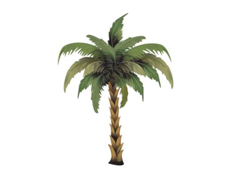 By speedriderposted on november 14, 2012november 14, 2012. Pohon kurma png 2 » PNG Image