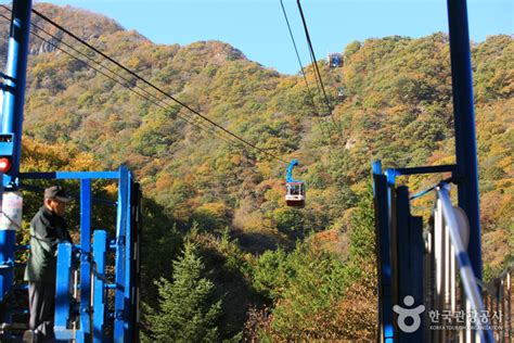 Jeongeup naejangsan special tourist zone (정읍 내장산 관광특구). 내장산 케이블카 관광 정보와 주변 관광 명소 및 근처 맛집 여행 ...