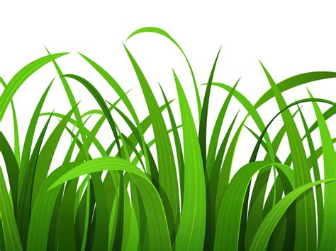 Grass Clip Art Free Clipart Images 4 Wikiclipart