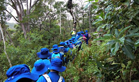 School Excursions In Sydney And Surrounds Nsw National Parks